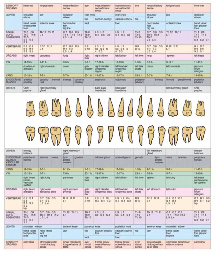 Natural Smiles of Tampa Bay Tooth Meridian Chart