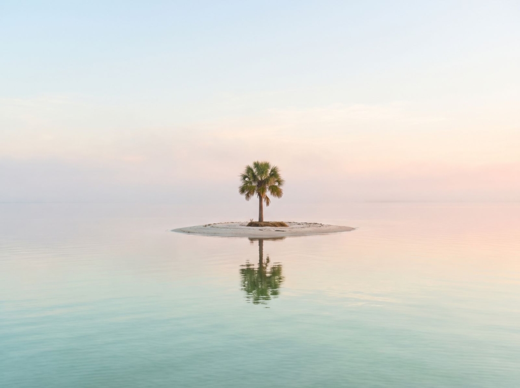 A small island with a single cabbage palm reflected in calm water