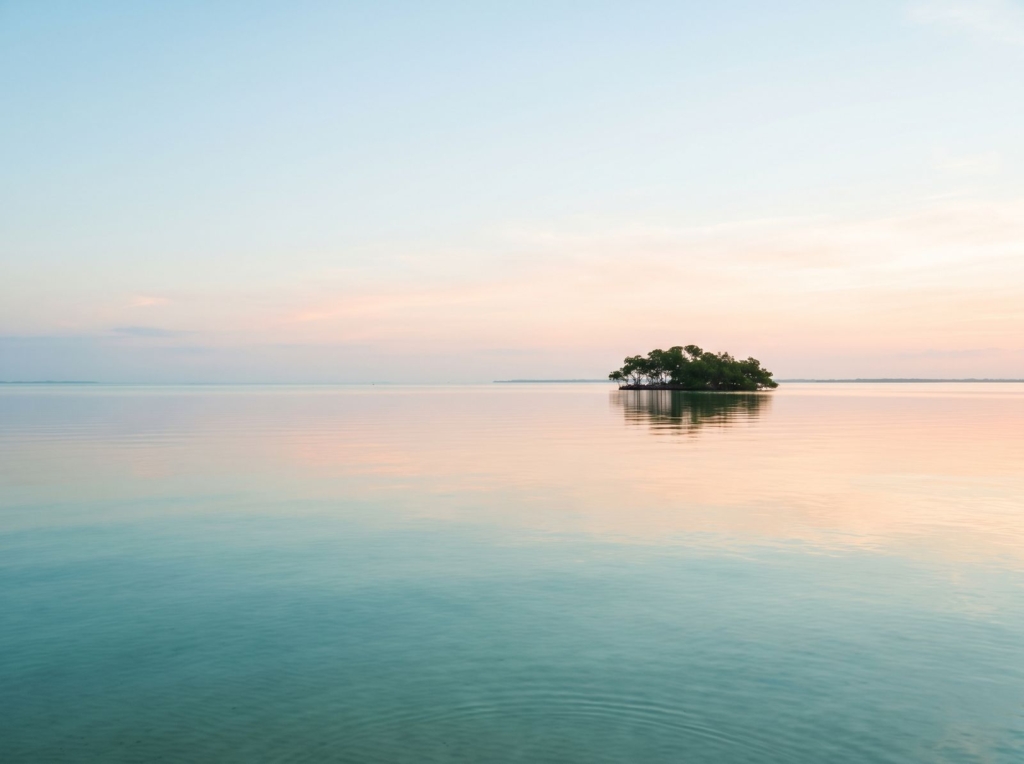 Glassy, calm bay water at dawn with a small mangrove island on the horizon