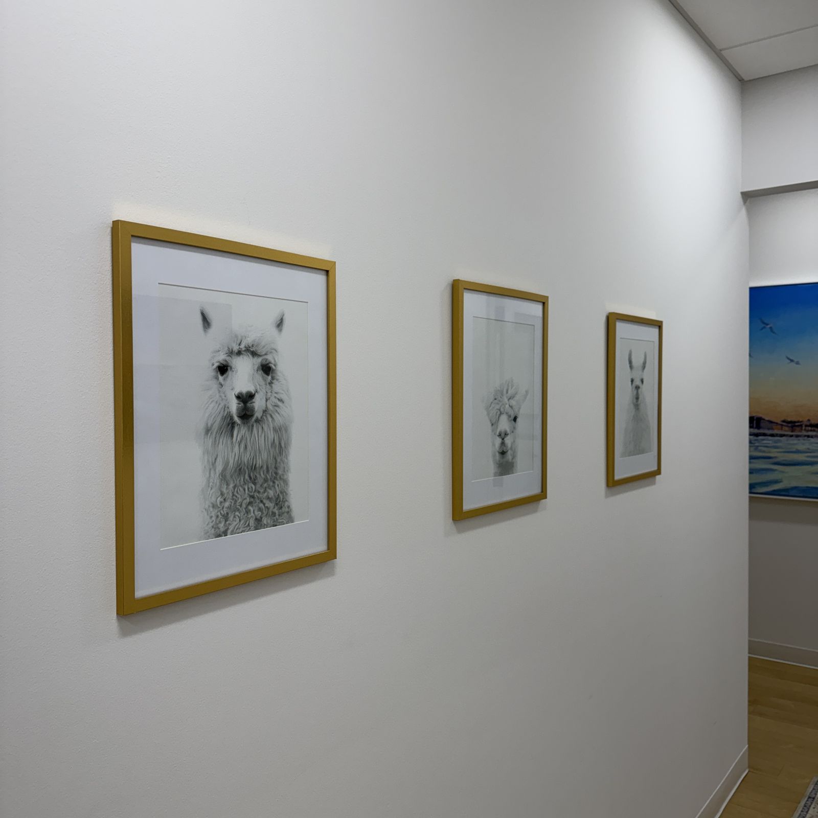 Natural Smiles hallway with framed alpaca prints