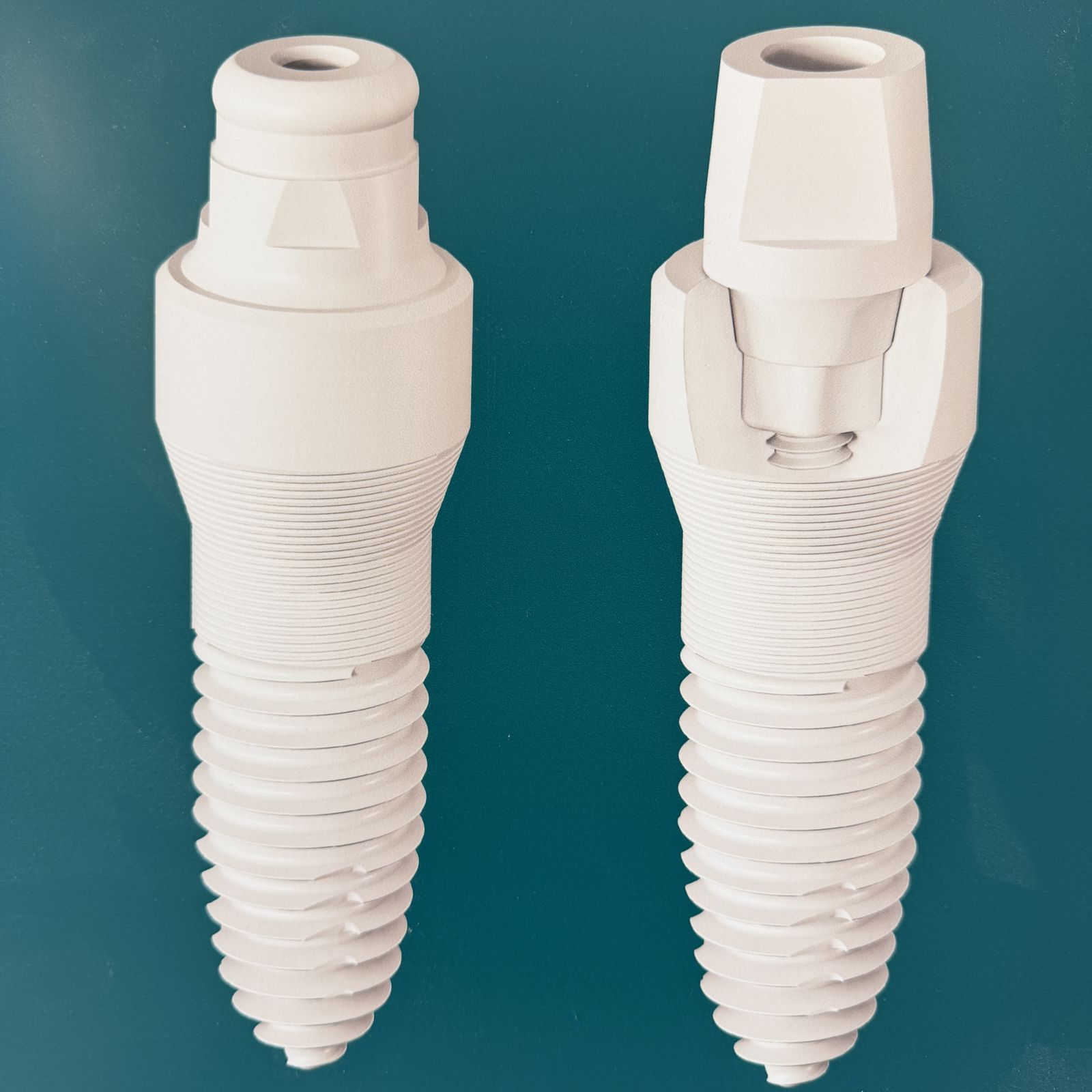 Two white zirconia ceramic dental implants